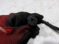 100_0553.JPG