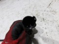 100_0566.JPG