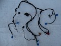 DSC07893.JPG