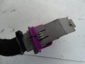 DSC07967.JPG