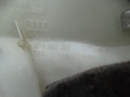 DSC08210.JPG