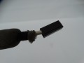 DSC08269.JPG