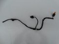 DSC08286.JPG