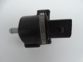 DSC08307.JPG