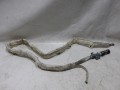 100_0630.JPG
