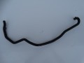 DSC09683.JPG