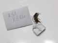 100_2750.JPG