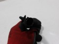 100_0705.JPG
