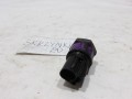 100_1135.JPG