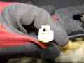 100_1436.JPG