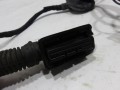 100_0037.JPG