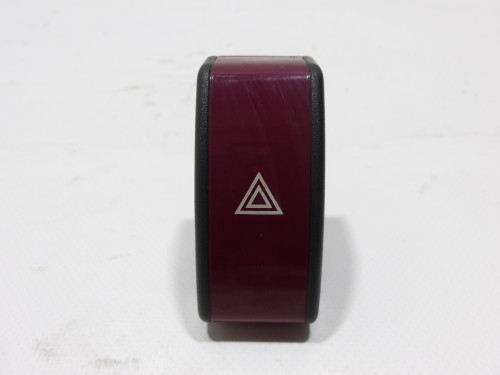 100_0101.JPG