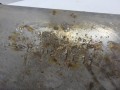 100_0620.JPG