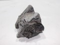 100_0116.JPG