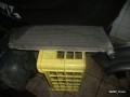 5039898196