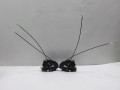 100_0225.JPG