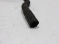 100_0810.JPG