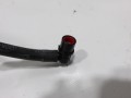 100_1161.JPG