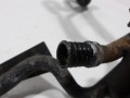 100_0210.JPG