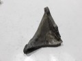 100_0250.JPG