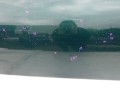 100_0405.JPG