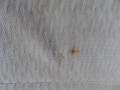 DSC05946.JPG