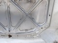 100_0561.JPG