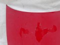 100_0599.JPG
