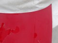 100_0600.JPG