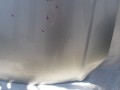 100_0824.JPG