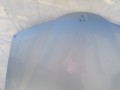 100_0885.JPG