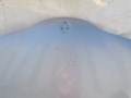 100_0886.JPG