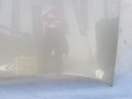 100_0919.JPG