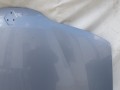 100_1112.JPG