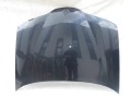 100_1194.JPG