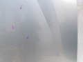 100_1241.JPG