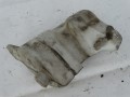 DSC03790.JPG