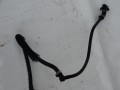 DSC03916.JPG