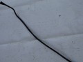 DSC03945.JPG