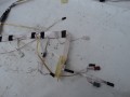 DSC04436.JPG