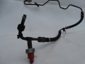 DSC07875.JPG