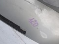 100_0011.JPG