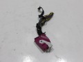 100_0271.JPG