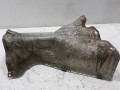 100_0416.JPG