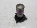 100_0311.JPG