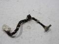 100_0078.JPG