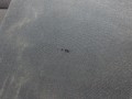 100_0019.JPG
