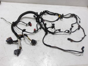 WIĄZKA INSTALACJA SILNIKA 2.0 BENZYNA 9659205480 CITROEN C4 I A7 F-VAT