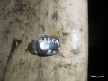 6613497158