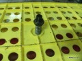 6260947804